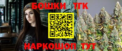 индика Пенза