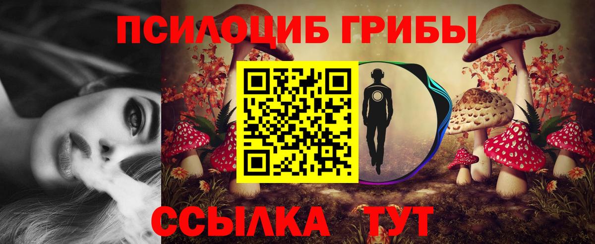 купить  цена  Галлюциногенные грибы MAGIC MUSHROOMS  Вход с VPN  Городец 
