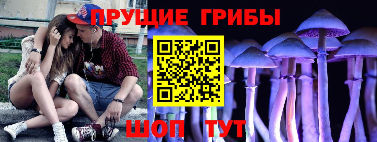 Псилоцибиновые грибы мухоморы Городец