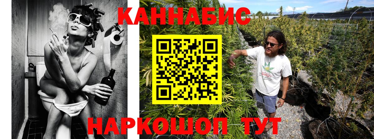 Бошки Шишки план  Марихуана семена  Вход с VPN  Городец  Канабис семена  Канабис Amnesia 